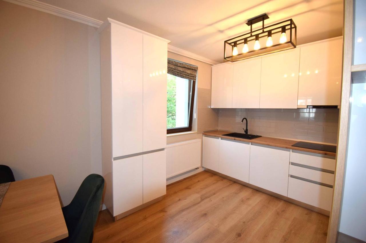 Luxury Apartment Central Târgu-Mureş Exteriör bild